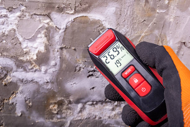 Best Emergency Mold Remediation in Beaver, UT
