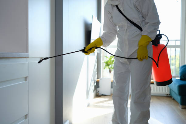 Reliable Beaver, UT Mold Remediation Solutions